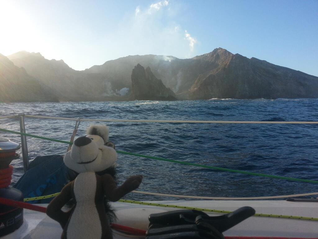 Pepe rounding White Island © Suellen Hurling